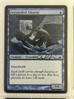 MTG-E1 Mixed Lot Of 9 Signed Magic The Gathering Cards (MTG) - Image 4
