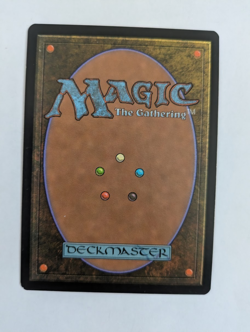 Unmask Mercadian Masques MTG NM Free shipping with tracking - Image 2