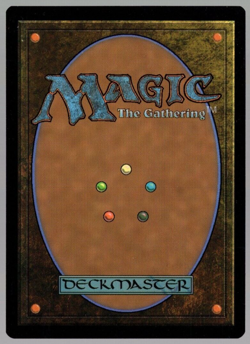 Plains 277/281 Non Foil Full Art Land Dominaria United MTG Near Mint - Image 2