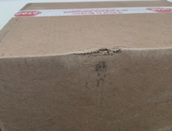 Pokemon TCG Mega Evolution Phantasmal Flames ETB Case (10 Count) Sealed!!! - Image 3