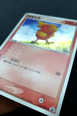 NM! Pokemon Japanese Torchic Holo 7-11 Fair Campaign Promo 018/ADV-P - Image 4
