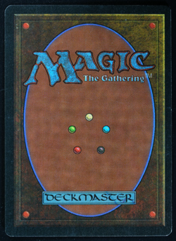 Savannah Dual Land Revised MTG Card Reserved List Magic the Gathering - Image 3