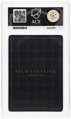 ACE 10 - Yoo Jinho - SL1E-PM07 - Solo Leveling - Mapniverse ID Card - Image 2