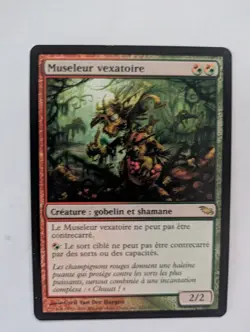 French Vexing Shusher Shadowmoor MTG NM Free shipping with tracking - Image 1