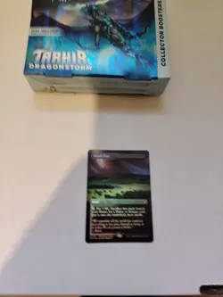 MTG - Marsh Flats BORDERLESS FOIL - NM - Tarkir Dragonstorm - Image 2