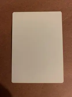 MTG Magic Gilded Goose Signed Artist Proof x1 Secret Lair Edition Allen Douglas - Image 2