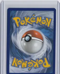 Pokemon Mega Evolution Riolu 010 Black Star Promos Illustration Rare Holo NM - Image 2