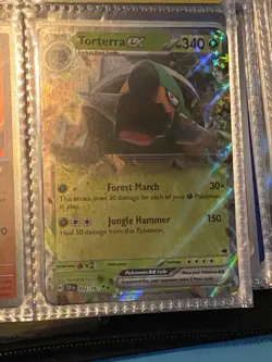 Mystery Lot of 800+ Pokemon Cards in Binders Collection - Image 4