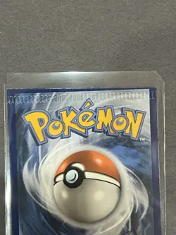 Huge Crimp Error Hippopotas 084/203 Evolving Skies Pokemon Card - Image 3