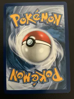 Shuckle 136/132 Illustration Rare (IR) Holo - Pokemon TCG Mega Evolution - NM - Image 2