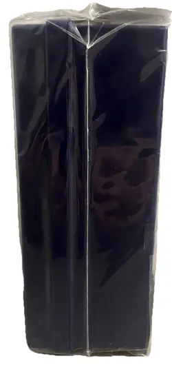 Pokemon Card Game Chinese 5th Anniversary Carrying Case NEW Promo - Image 4