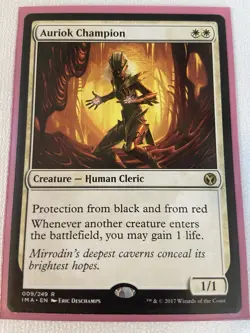 Auriok Champion IMA 009/249 M/NM - MTG - Image 1