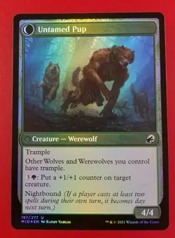1x Hound Tamer | FOIL | Innistrad Midnight Hunt | MTG Magic Cards - Image 2