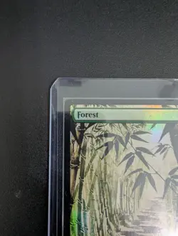 Forest (1403) Secret Lair Drop Foil mtg - Image 2