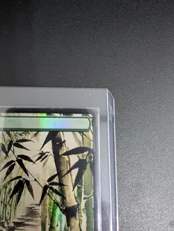 Forest (1403) Secret Lair Drop Foil mtg - Image 3