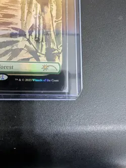 Forest (1403) Secret Lair Drop Foil mtg - Image 4