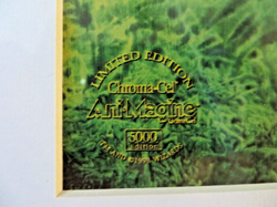 Magic The Gathering ~ BLACK LOTUS 1998 WIZARDS OF THE COAST 1/5000 w/COA - Image 4