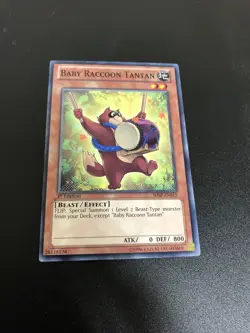 Baby Raccoon Tantan SHSP-EN015 Yu-Gi-Oh! Card Light Play 1st Edition - Image 1