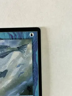 Mystic Remora Ice Age Regular NM Magic The Gathering Card Never Played See Pics - Image 4