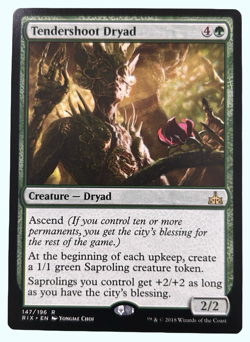 Tendershoot Dryad, Rivals of Ixalan, NM Near Mint, Magic the Gathering MTG - Image 1