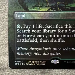 MTG Verdant Catacombs (Borderless) - Special Guests (SPG) #113 Foil NM Magic - Image 4