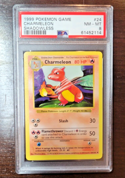 Charmeleon Shadowless Base Set 24/102 Pokemon 1999 - PSA 8 NM-MT - Image 1