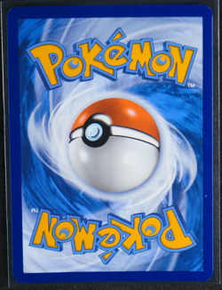 Team Rocket's Wobbuffet Holo Promo #203 SV: Scarlet & Violet Promo Cards NM - Image 2