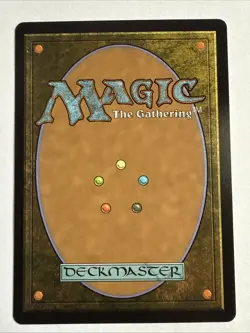 MTG Appa, the Vigilant 0062 Regular Borderless Avatar TLE NM - Image 2