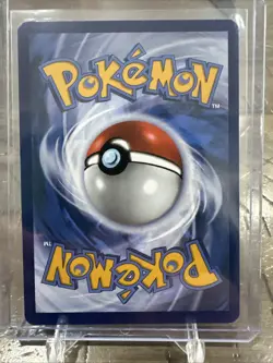 Pokemon TCG Swinub 165/159 Journey Together Illustration Rare Near Mint - Image 2