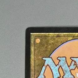 🔮 MTG: The Cabbage Merchant (Foil) - 0134 - Avatar NM Pack Fresh - Image 5