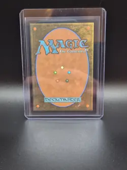 Mistrise Village Tarkir: Dragonstorm Regular, Land, TCG, - R 0261 - NM, Land - Image 2