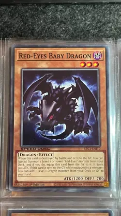 Red-Eyes Baby Dragon SBC1-ENI10 Common 1st Edition Near Mint Yugioh NM - Image 1