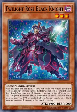 Yugioh DOOD-EN005 - Twilight Rose Black Knight - Common - Image 1