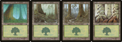 MTG Magic the Gathering - Mercadian Masques: 4x Forest - 1x of Each Art ?NM? - Image 1
