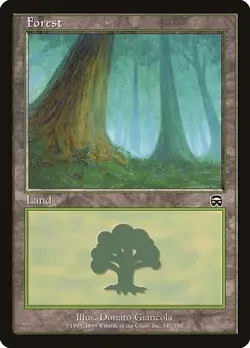 MTG Magic the Gathering - Mercadian Masques: 4x Forest - 1x of Each Art ?NM? - Image 2