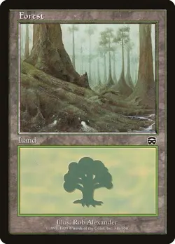 MTG Magic the Gathering - Mercadian Masques: 4x Forest - 1x of Each Art ?NM? - Image 3