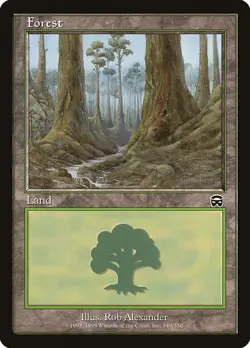 MTG Magic the Gathering - Mercadian Masques: 4x Forest - 1x of Each Art ?NM? - Image 4