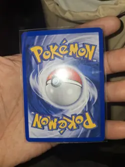 Venusaur 13/53 WOTC Black Star Promo - Pokemon Holo Foil - Image 2