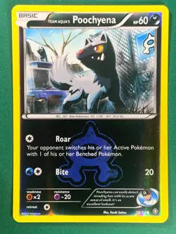 Team Aqua's Poochyena 16/34 Common Reverse Holo Pokemon TCG - Image 1