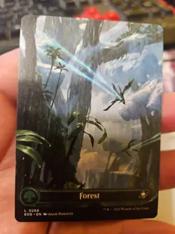 MTG -Edge Of Eternity - Forest - Borderless - NM - NF - Image 1