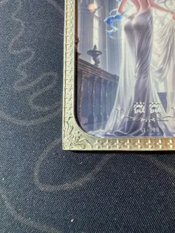 Goddess Vivi Diamond Card Metal Dream Waifu Doujin Case Prize One Piece - Image 5
