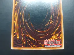 Yugioh - Blue-Eyes White Dragon FL1-EN001 Secret Rare - Image 5