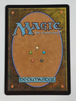 Leyline of Anticipation 0023 Wilds of Eldraine Magic The Gathering MTG Card LP - Image 2