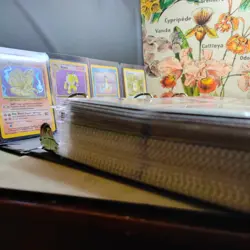 Huge 5 Lb Binder Of Vintage Pokemon Collection Lot WOTC Holo Mid Era 1999-2016 - Image 1