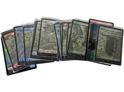 Magic The Gathering Mixed Card Lot Basic Land Assortment Collectables (Set C) - Image 4