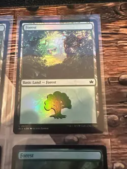 MTG Bloomburrow Forest Foil Lot Of 4 Full Art Seasons! - Image 2