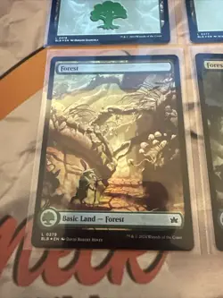 MTG Bloomburrow Forest Foil Lot Of 4 Full Art Seasons! - Image 4