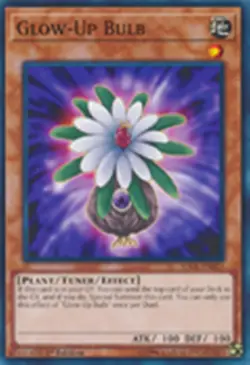Glow-Up Bulb SDCL-EN021 X 1 Common YUGIOH CARD - Image 1