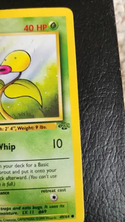 Pokemon 1st Edition Bellsprout 49/64 Weepinbell 48/64 Jungle Set Non Holo LP - Image 4