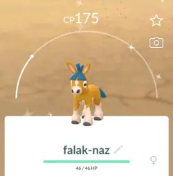 Shiny Mudbray 🌟 Pokemon Go - Image 1